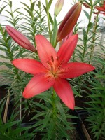 [4097 Paintball DJ No02.JPG]